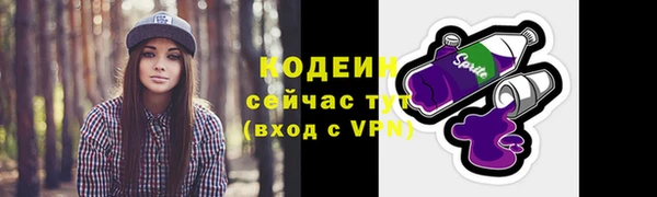 герыч Новодвинск