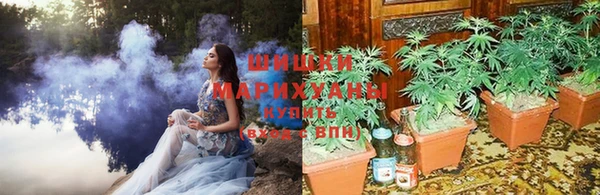 ГАЛЛЮЦИНОГЕННЫЕ ГРИБЫ Бикин