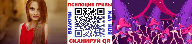 наркотики  кракен рабочий сайт  Галлюциногенные грибы Magic Shrooms  Торжок 