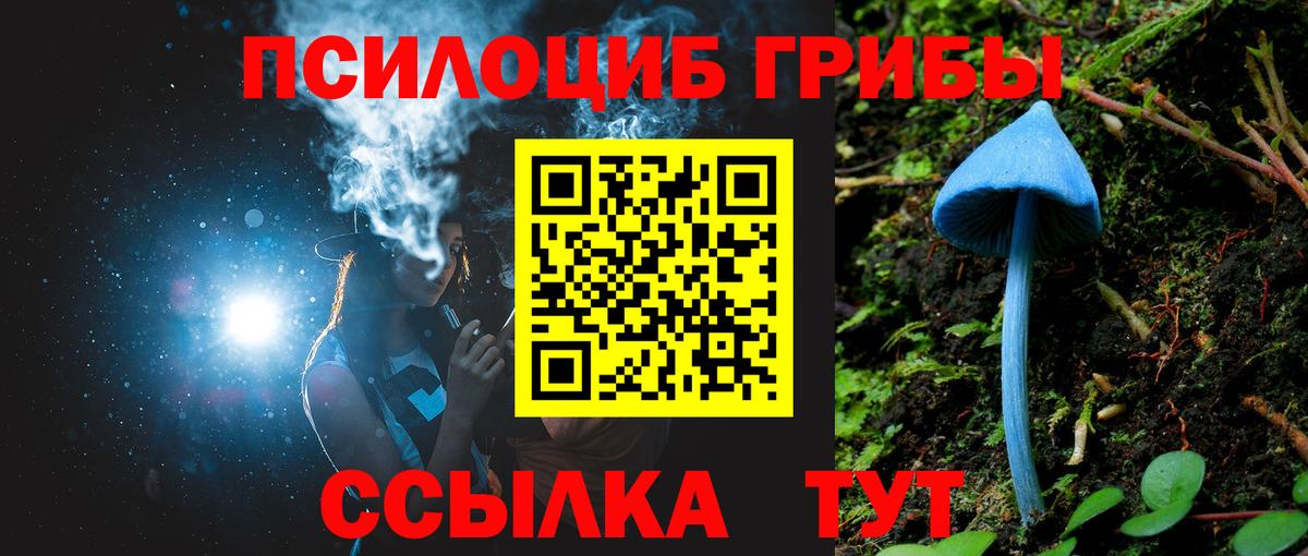 Галлюциногенные грибы GOLDEN TEACHER Торжок