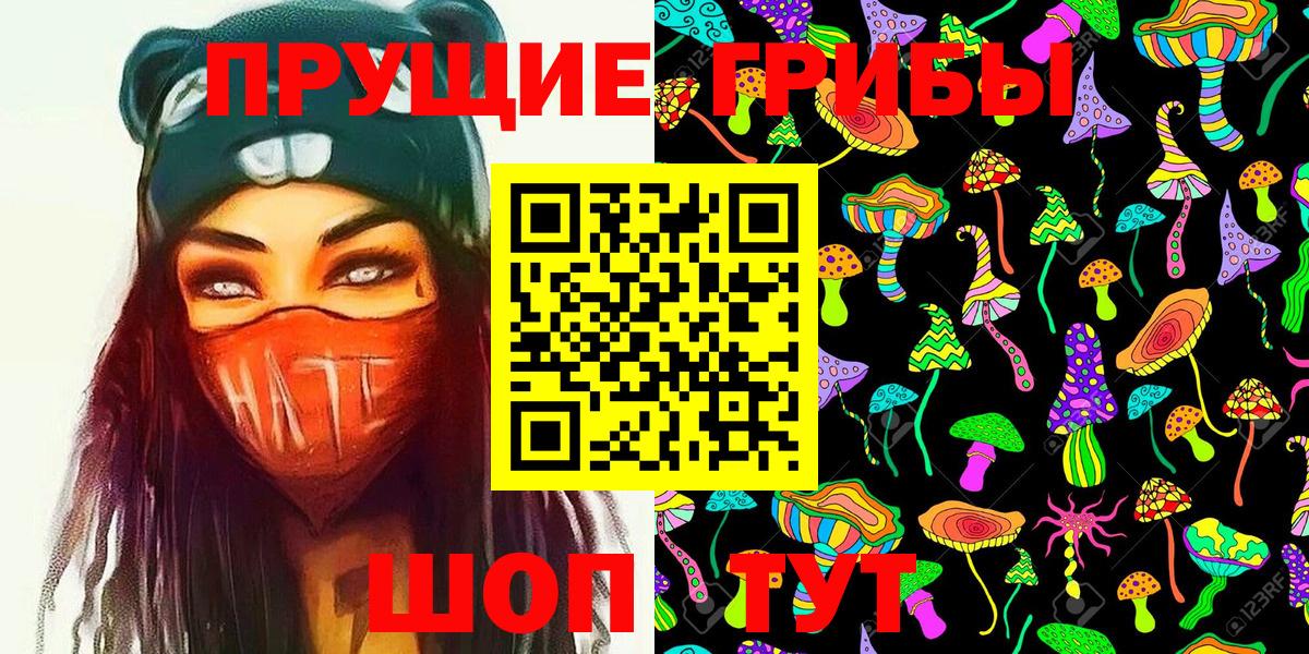 Галлюциногенные грибы Psilocybine cubensis Торжок